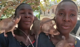 Asafo Maame Florence, the Ghanaian woman who raises rats, loves them like kids [Video]