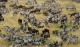 From Ghana to Kenya, The Untamed Beauty of African Safari Parks