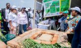 WB AgriConnect initiative: IFAD pledges support for over 70 million small-scale farmers
