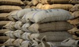 Cocoa sector witnessed improvement in late 2024; new financing model has reduced liquidity (…)