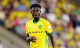 I struggled to settle in at Norwich City - Forson Amankwah