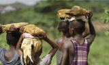 More than 130m children were engaged in child labour in 2024 – ILO, UNICEF