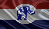 NPP expands voting pool for presidential primaries – Full list here