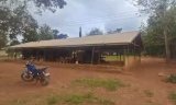 Snakes, stray animals invade dilapidated Menang D/A school; authorities cry for help