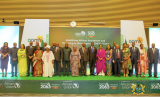 Mahama calls for strategic investments in Africa