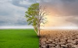 Tackling climate and sustainable development crises together could cut costs by 40 per cent, new (…)