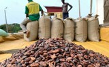 Group petitions police over planned demonstration on delayed cocoa payments